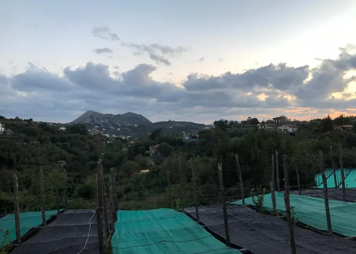 Nocleg ze śniadaniem De Maria House 4*